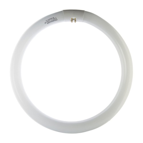 Circolare fluorescente