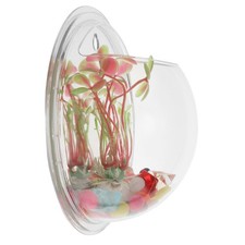  Vasca per pesci porta piante