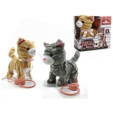 MORBIDOSI-GATTINO FILOGUIDATO