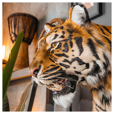 Finta tassidermia tigre
