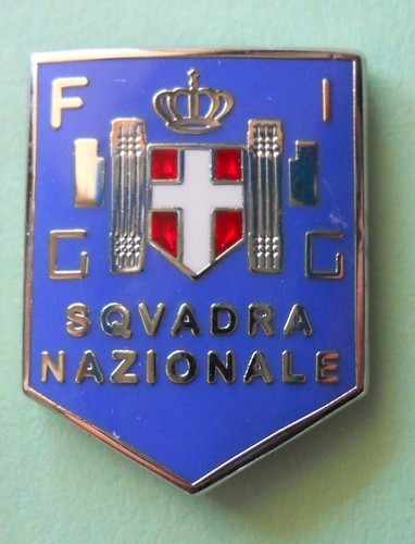 Distintivo spilla pin - spilla,