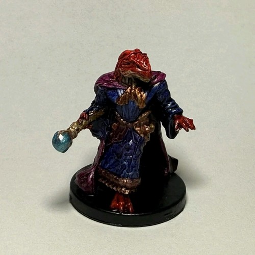 Dragonborn mago stregone - dragonborn,