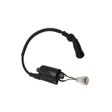 Bobina accensione NUOVA 5PZS