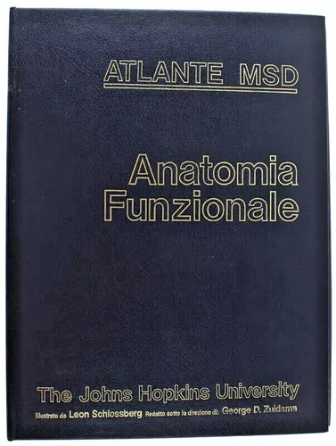 Atlante msd anatomia - atlante,