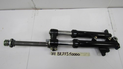 Forcella anteriore front - forcella,