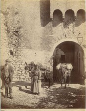 Sanremo Italia contadini con muli antica foto albumina di Noack