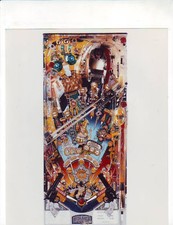 Flipper Cactus Canyon foto