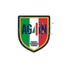 Adesivo stemma scudetto AG4IN