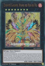 Yu-Gi-Oh! Éternité Garunix