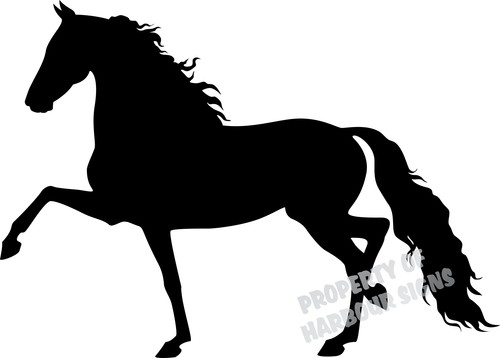 Adesivo morgan horse - adesivo,
