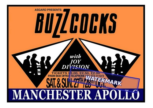 The buzzcocks joy - the,
