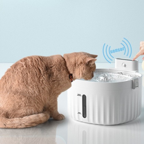 Fontanella per gatti - , cane
