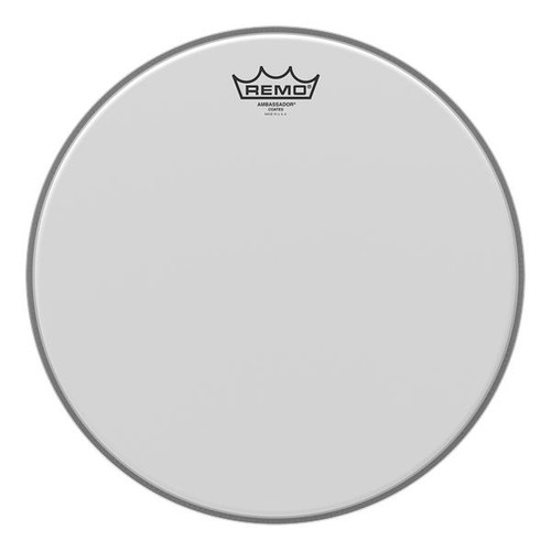 Batteria remo ambassador - 22",