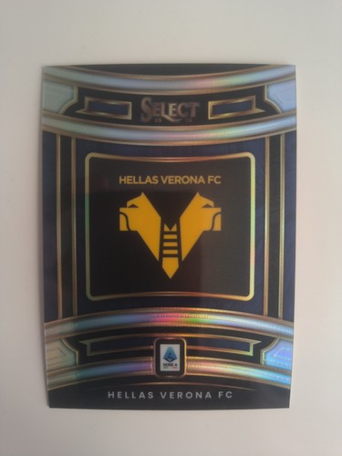 Distintivo squadra panini - distintivo,