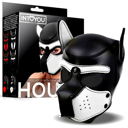 Maschera cane con - , museruola