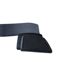 Altoparlante e rivestimento
