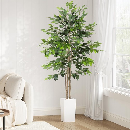 Pianta finta ficus benjamini - ficus,