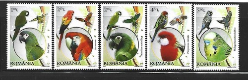 Rumania año 2011 tema - .,