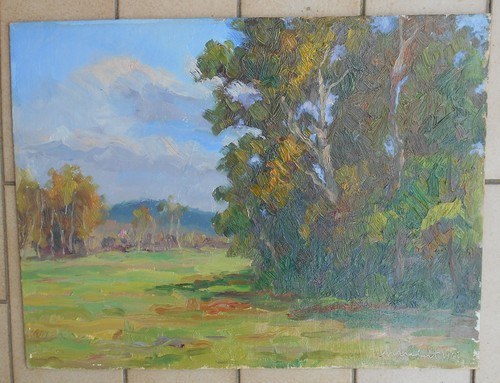 Quadro dipinto olio firmato - quadro,