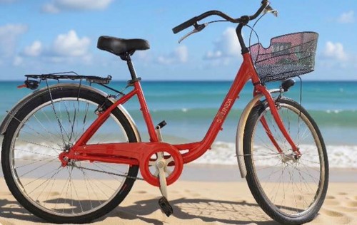 Bici donna nuovissima