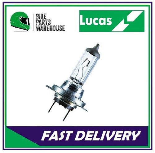 Lampadina faro compatibile - , con