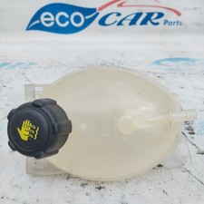 Vaso espansivo Renault Clio