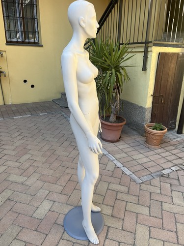 Manichino donna esposizione - donna,