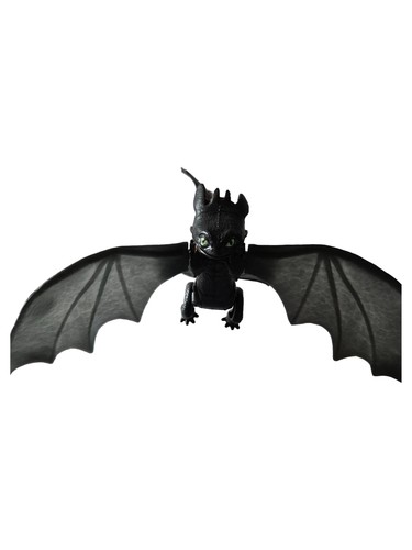 Dwa sdentato drago - sdentato,