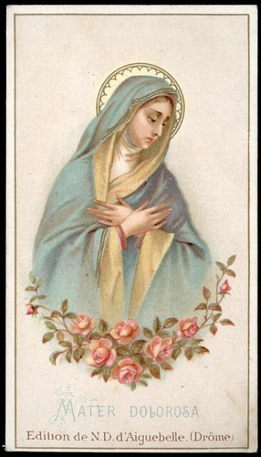 Santino holy card - santino-holy,