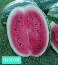 50 SEMI DI ANGURIA CRIMSON