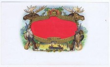 trofei di caccia testa d'alce