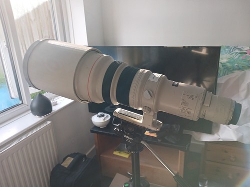 Canon 600mm l - l, usm