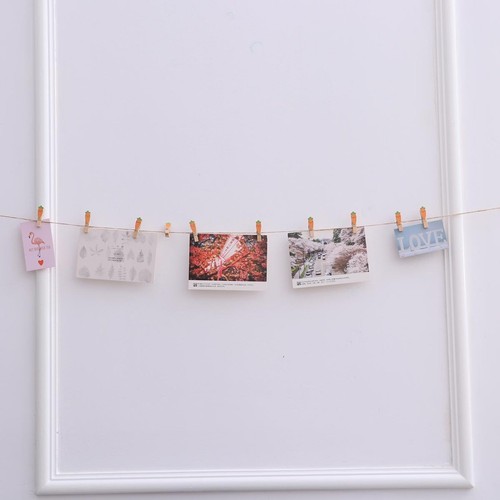Pezzi clip fotografici - clip,