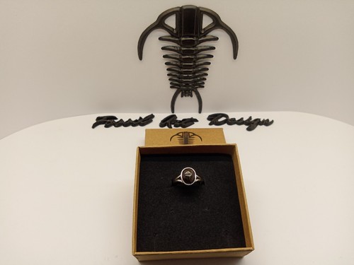 Fossil wood anello art - art.2, aw