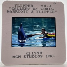 Flipper diapositiva 35mm anni