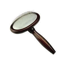 Iv san bernard cardatore tondo