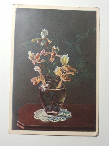 Cartolina 1942 orchidee - cartolina,