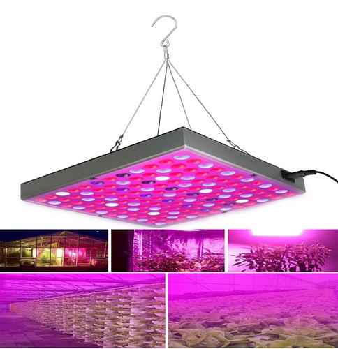 Luce led coltivazione - led, 8000w