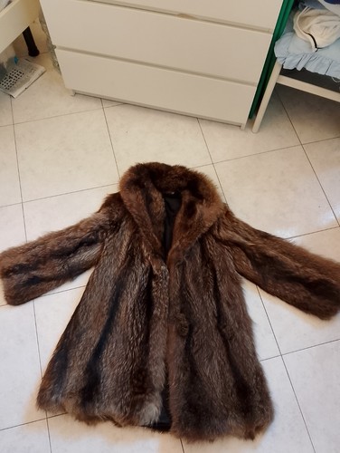 Pelliccia marmotta - di,