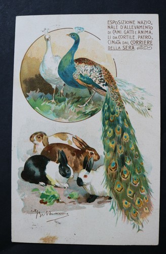 Cartolina esposiz naz - esposiz.,
