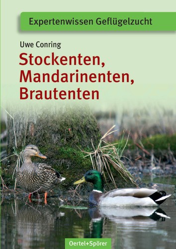 Anatre stock mandarin - anatre,