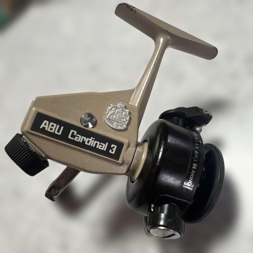 Raro cardinale abu - cardinale,