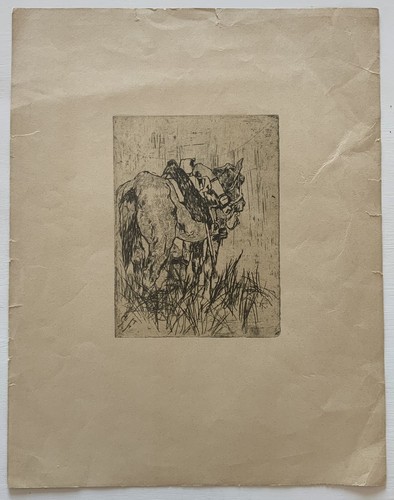 Stampa antica incisione - stampa,