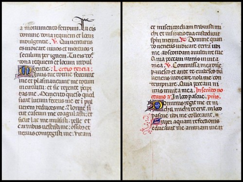 Grafia pergamena foglia - grafia,