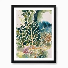 Quadro Montipora Vintage