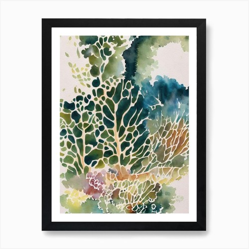 Quadro montipora vintage - montipora,