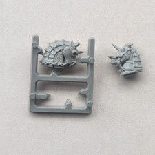 Testa di cavallo impero WFB x2