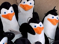 NUOVO! GUARDA QUEI VOLTI