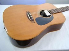ELITE WG20 chitarra acustica