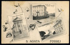 Agata fossili 1927 - fossili,